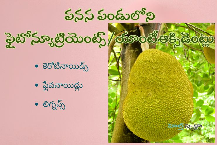 Phytonutrients_Antioxidants