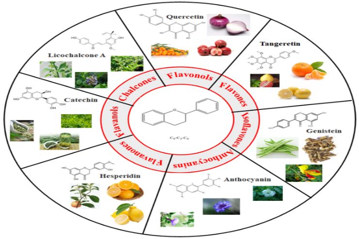 Polyphenols_ Natural Compounds for Optimal Health 2