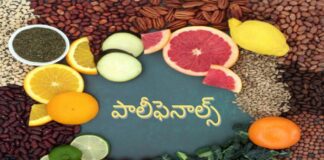 పాలీఫెనాల్స్ అంటే ఏమిటీ.? ఇవి ఎందుకు మంచివి? - Polyphenols: Natural Compounds for Optimal Health Polyphenols_ Natural Compounds for Optimal Health