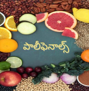 పాలీఫెనాల్స్ అంటే ఏమిటీ.? ఇవి ఎందుకు మంచివి? Polyphenols_ Natural Compounds for Optimal Health