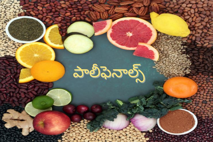 పాలీఫెనాల్స్ అంటే ఏమిటీ.? ఇవి ఎందుకు మంచివి? - <span class='sndtitle'></img>Polyphenols: Natural Compounds for Optimal Health </span>