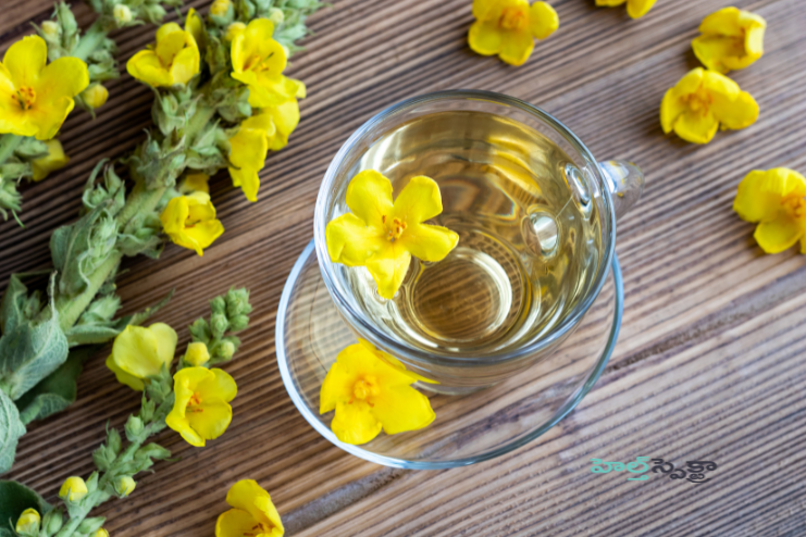 Relief from Cough (2)