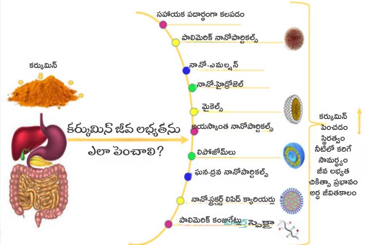 Research works on turmeric