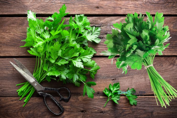 Rich in nutrients that protect your eyes