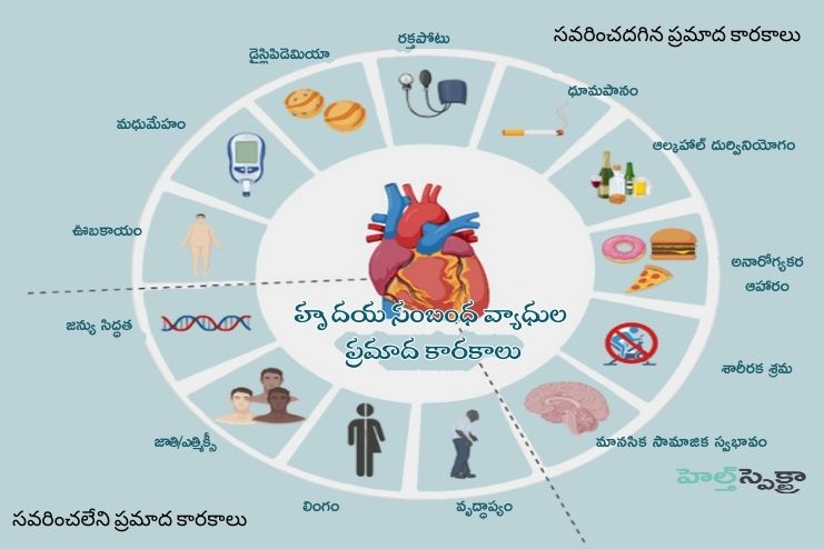 Risk factors for cardiovascular disease