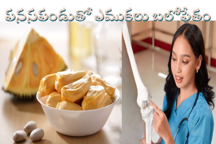 Supports Bone Health