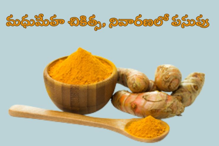 Turmeric in Prevention and treatment of Prameha
