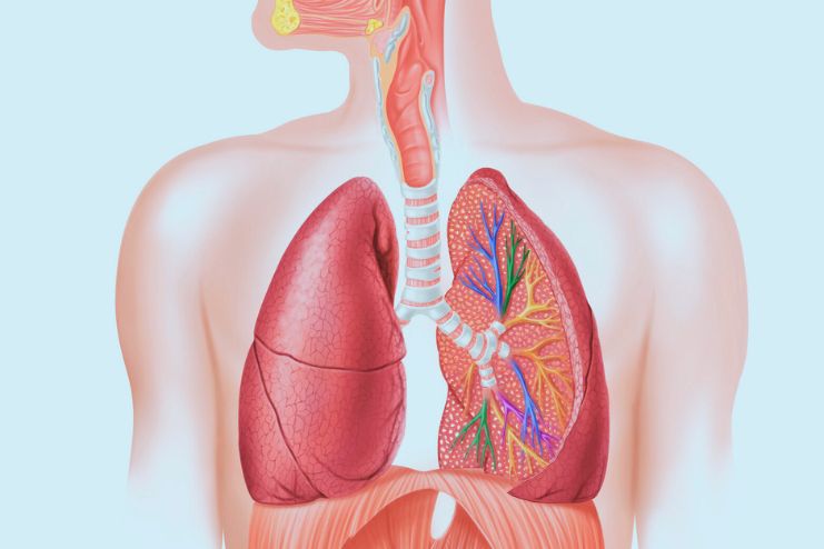 Upper respiratory tract infections