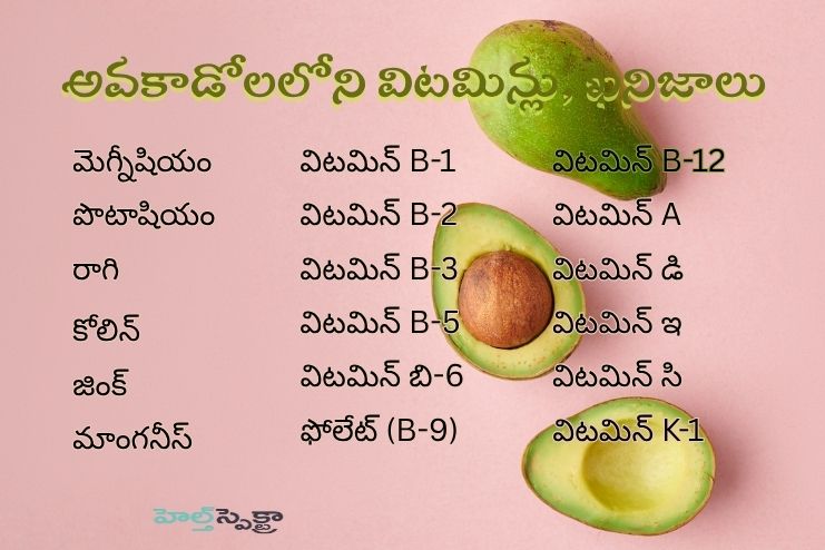 Vitamins and minerals