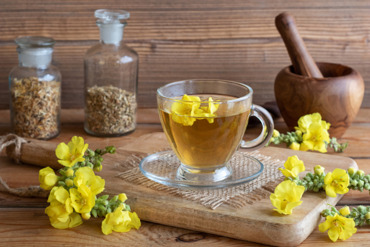 benefits and uses of mullein tea