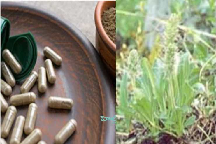 katuka rohini with western medicines