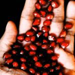 pomegranate for health