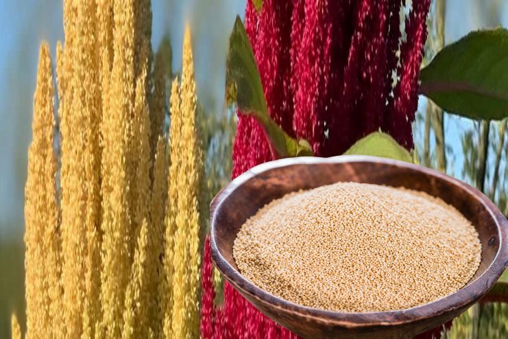 Amaranth