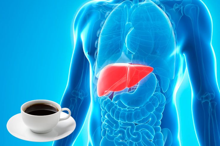 Benefits of coffee_ Is it beneficial for liver health
