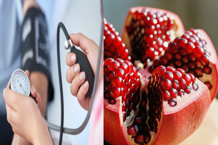 Blood Pressure Regulation