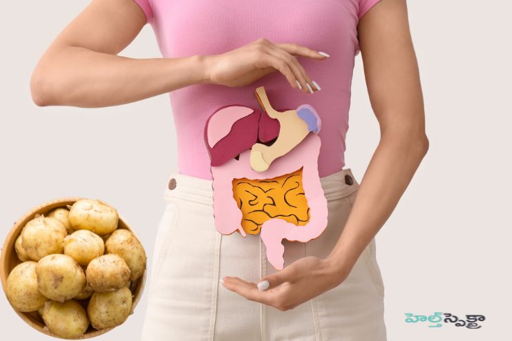 Digestion and regularity