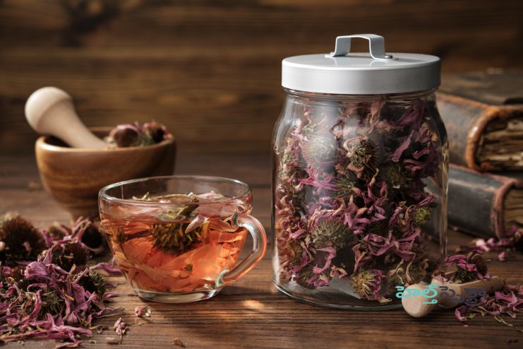 Echinacea tea
