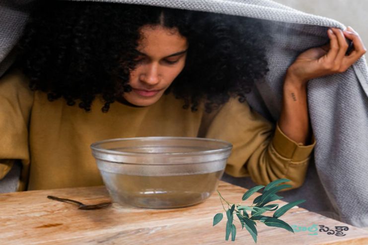Eucalyptus vapor inhalation