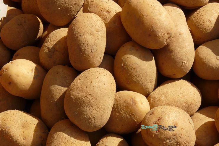 Fast facts on potatoes (2)