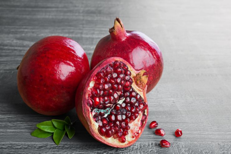 Feeds Gut Microbiota