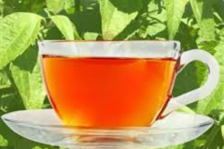 Guaco and mallow tea