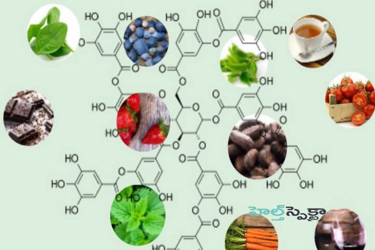 Health Benefits of Polyphenols
