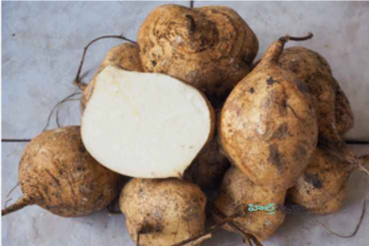 Healthful source of dietary fiber