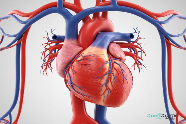 Heart Health Guardian