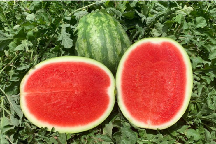 Helping with metabolic syndrome