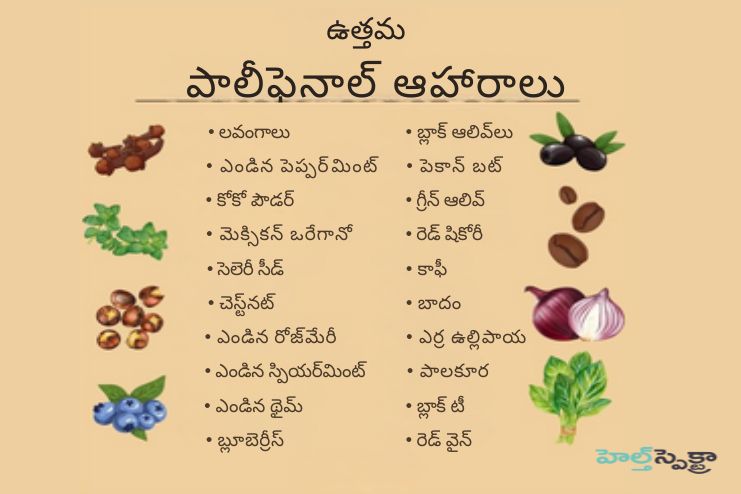 High-polyphenol foods