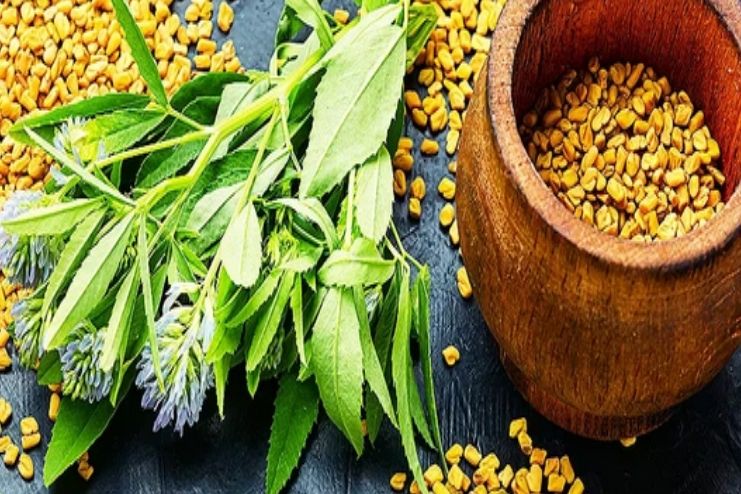 How to consume Fenugreek to enhance libido