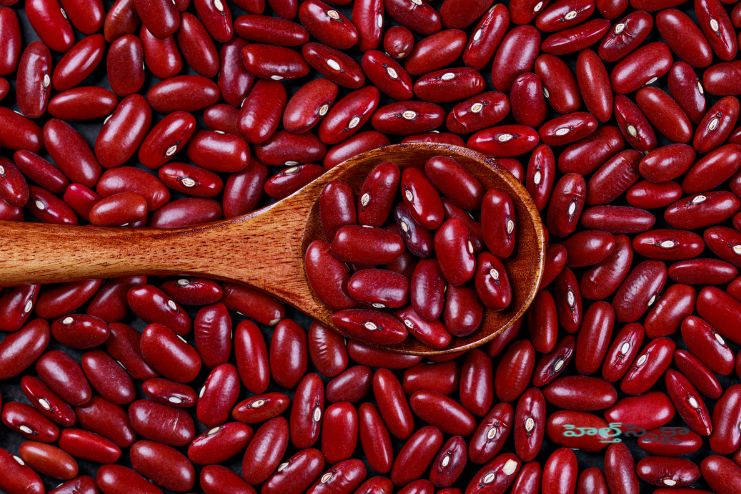 Kidney Beans