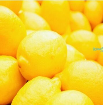 నిమ్మకాయలు మీ ఆరోగ్యానికి ఎలా మేలు చేస్తాయి? Lemon_ Nutritional facts and Health benefit