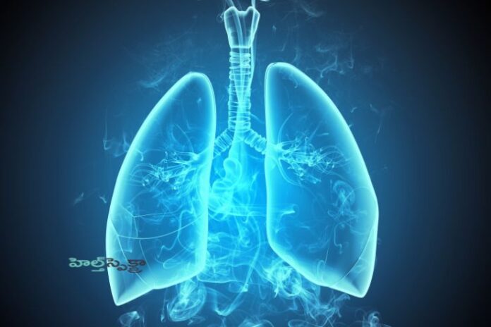 Natural ways to Remove Mucus from Lungs