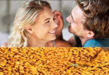 మెంతులు: సహజ లైంగిక ఆరోగ్యానికి అద్భుత ఔషధం Naturally Increase Your Sex Drive with Fenugreek