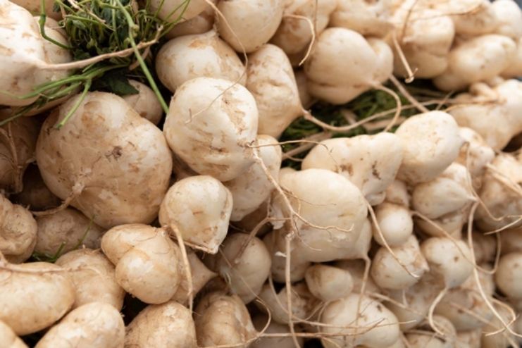 Nutrient dense Jicama