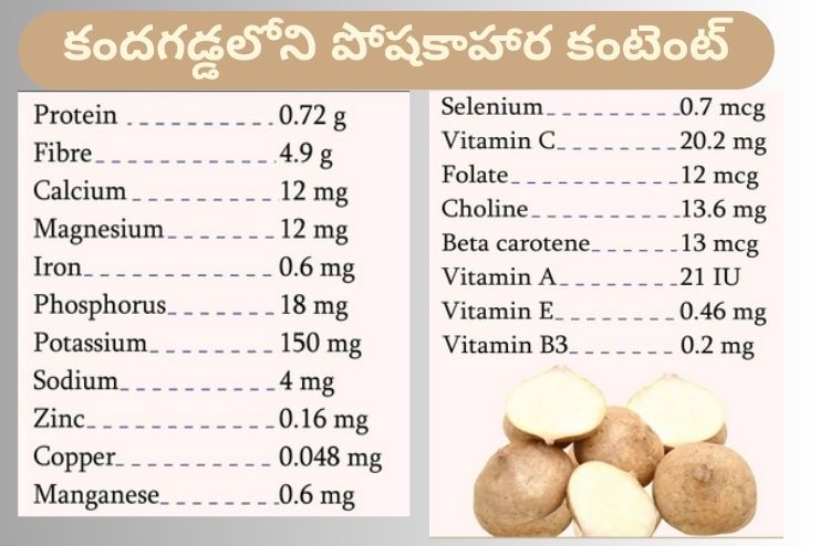 Nutritional content of Jicama
