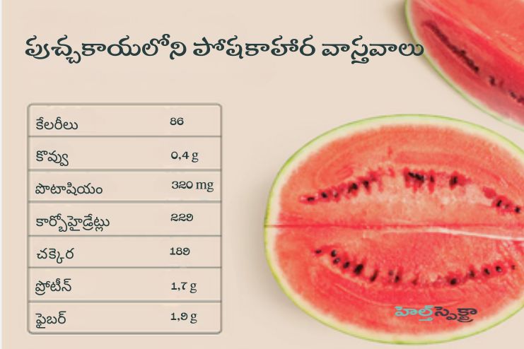 Nutritional value of watermelon