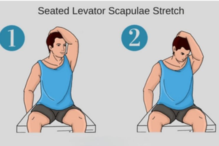 Physical Therapy for Back Pain