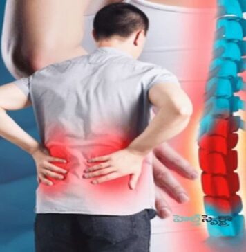 సయాటికా నొప్పి: లక్షణాలు, కారకాలు, చికిత్స, నివారణ Sciatica- Causes, Symptoms, and Treatment