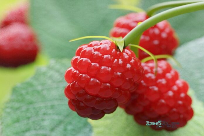 Raspberries_ Nutritional facts and Health benefits