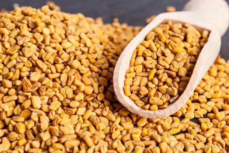 Side effects of taking fenugreek