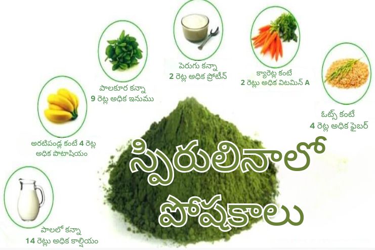 Spirulina Health benefits