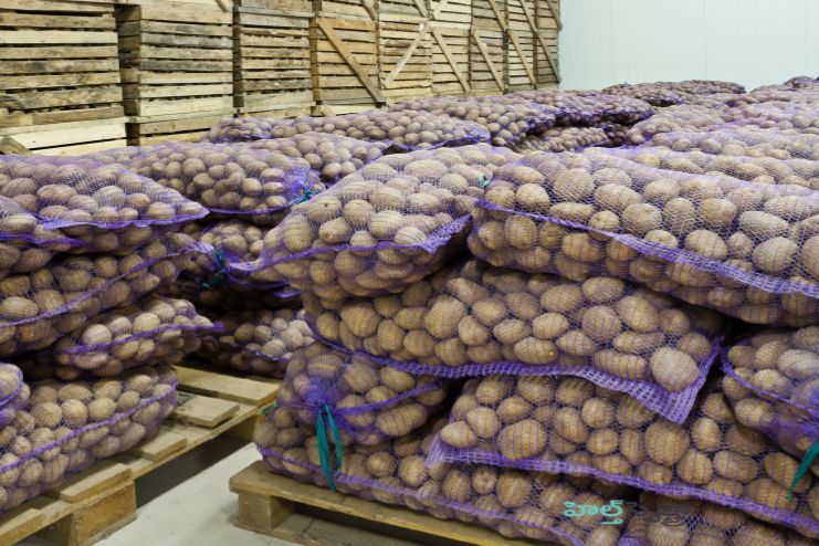Storage of Potatoes