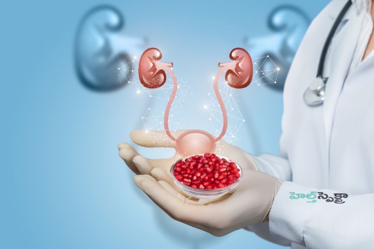 Supports Urinary Health