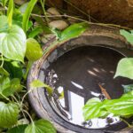 cleanliness during monsoon