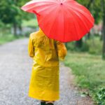 comprehensive monsoon safety guide