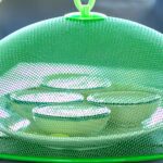 food safety tips monsoon