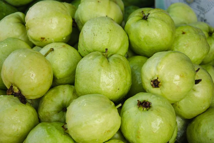 guava