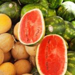 melon and watermelon in monsoon